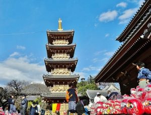 かぞくをはぐくむヒントがつまったパパママ・マガジン たまちっぷす | vol.2 初詣からアウトドアスポーツまでまるっと一日、 新年のおでかけを楽しむ！