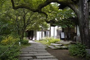 かぞくをはぐくむヒントがつまったパパママ・マガジン たまちっぷす | 地域に根ざす個性豊かな施設を楽しむ 町田市 vol.31