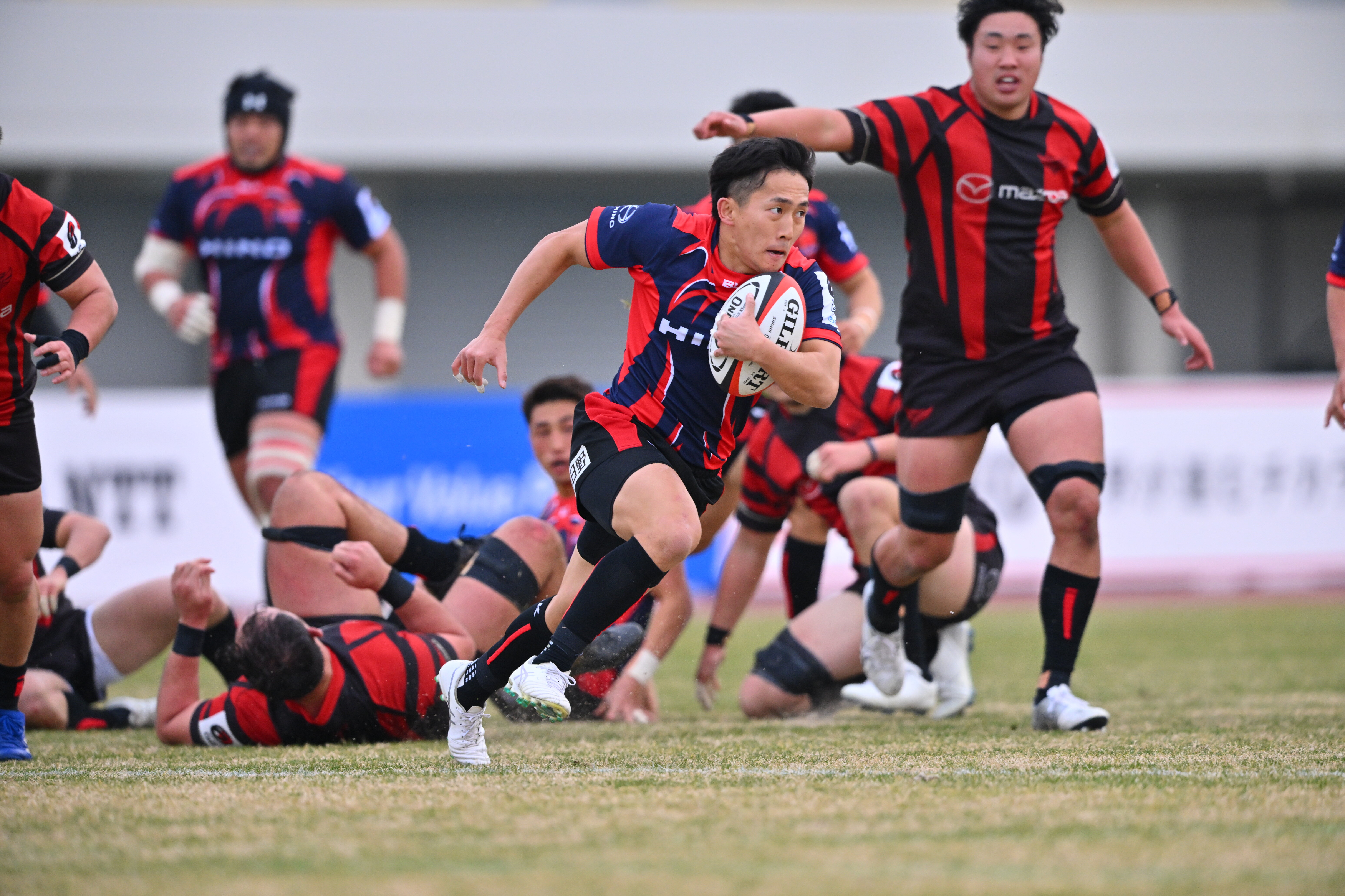 日野レッドドルフィンズ‗01.JPG