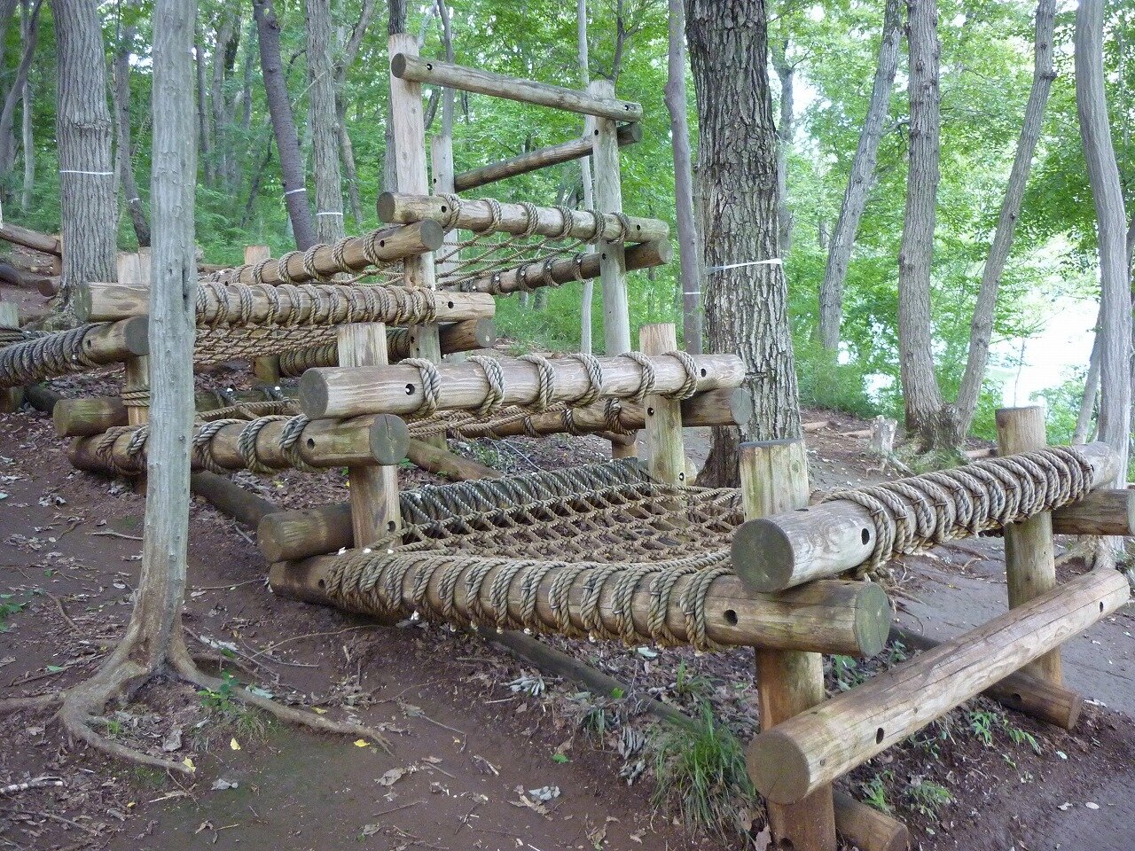 1ウサギの山のぼり.JPG