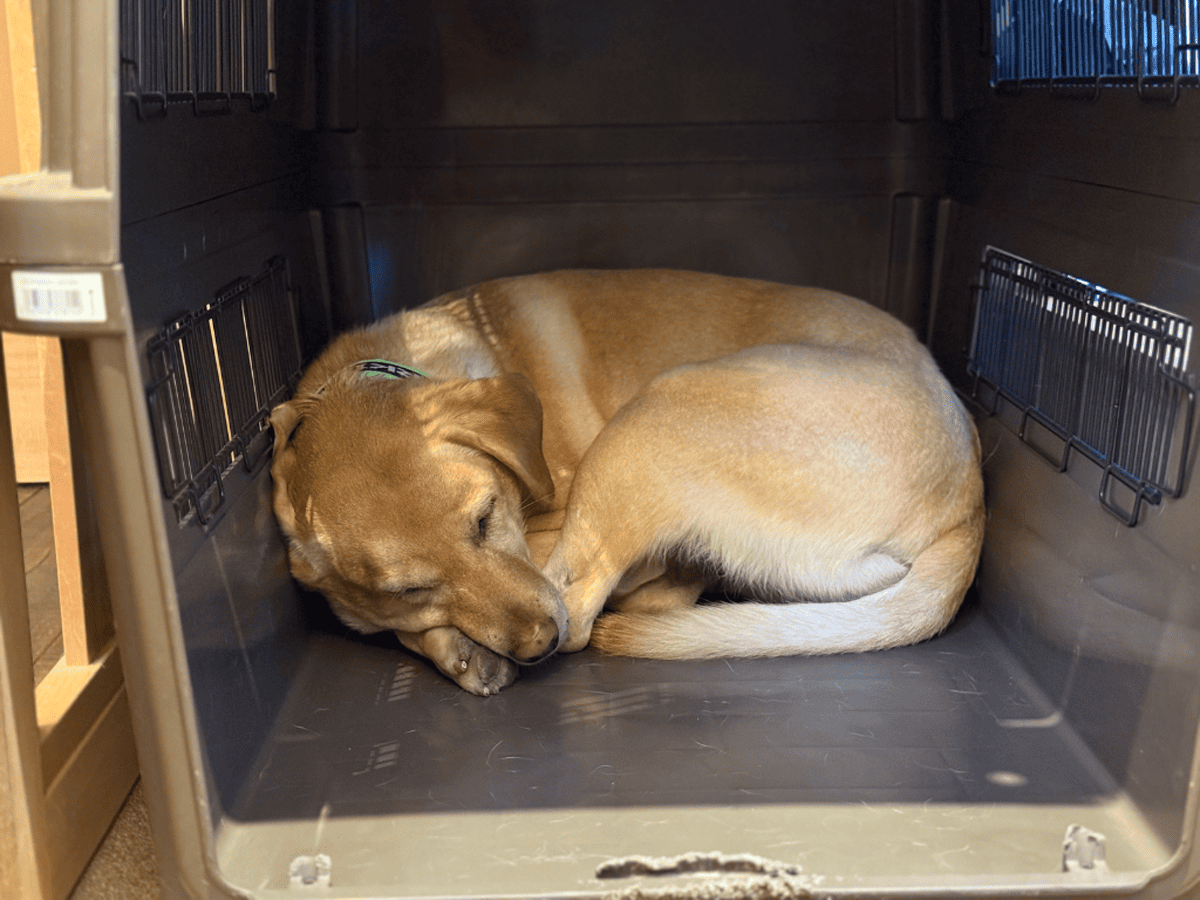 tama-petokcafe-35.png