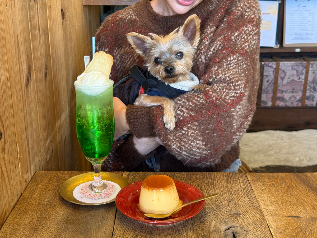 tama-petokcafe-8.png
