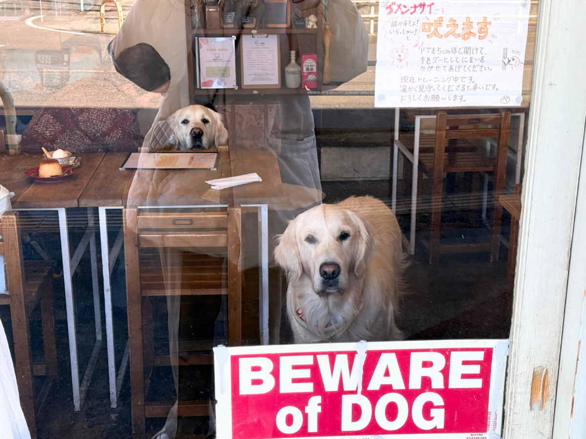 tama-petokcafe-5.png