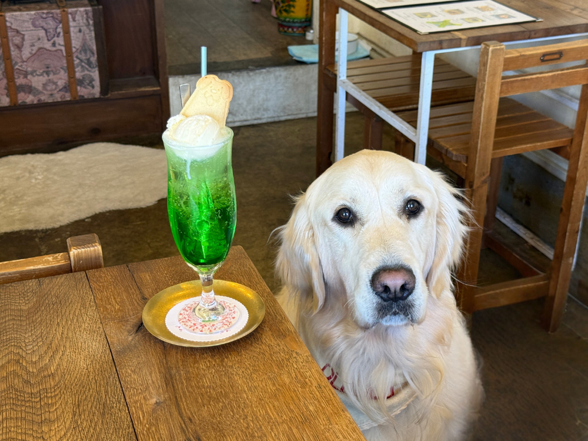 tama-petokcafe-15.png