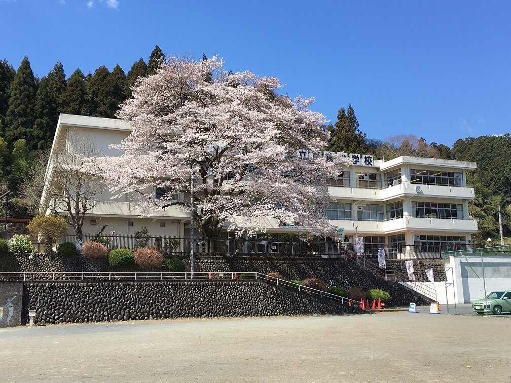 tama-okunai-21.JPG