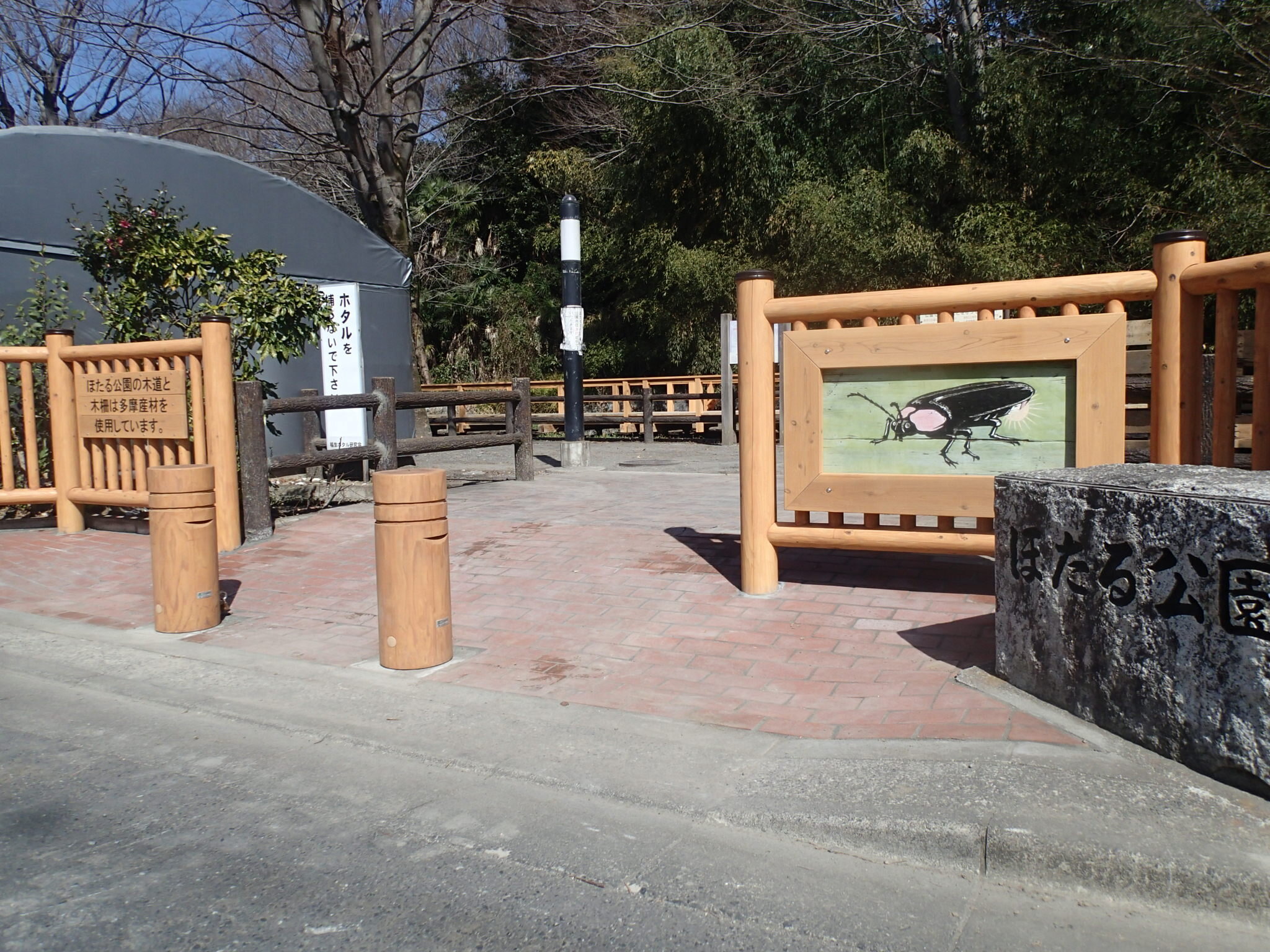 P3046862.JPG
