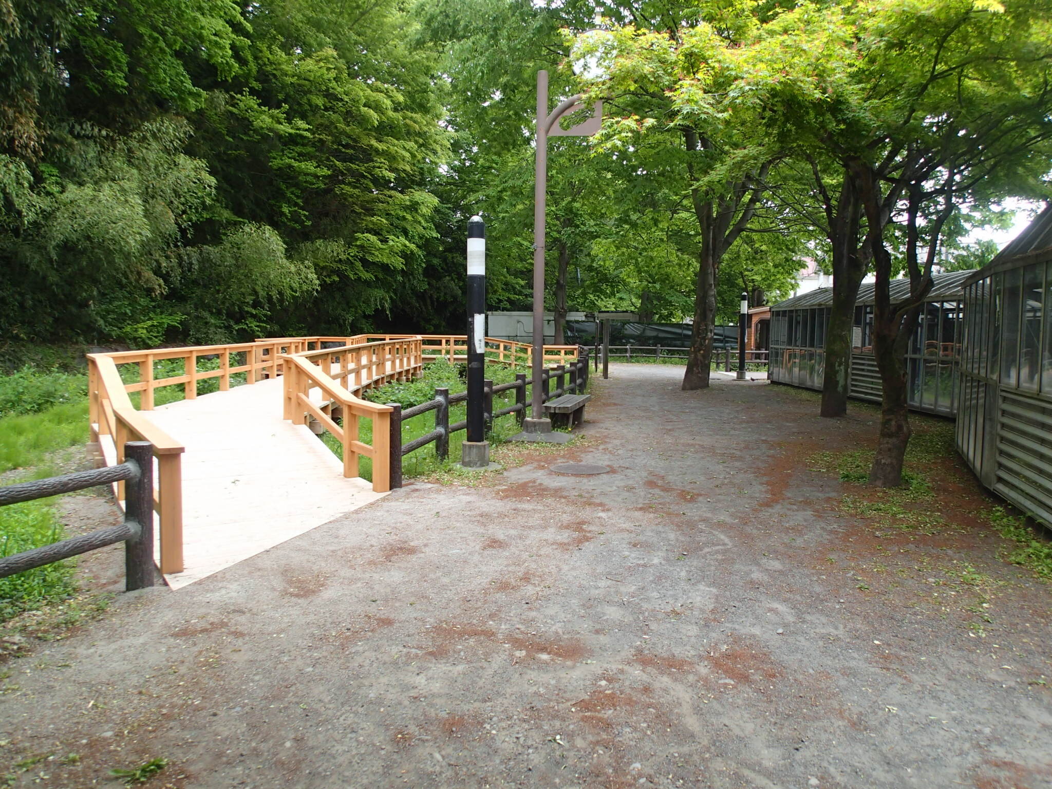 P4286891.JPG