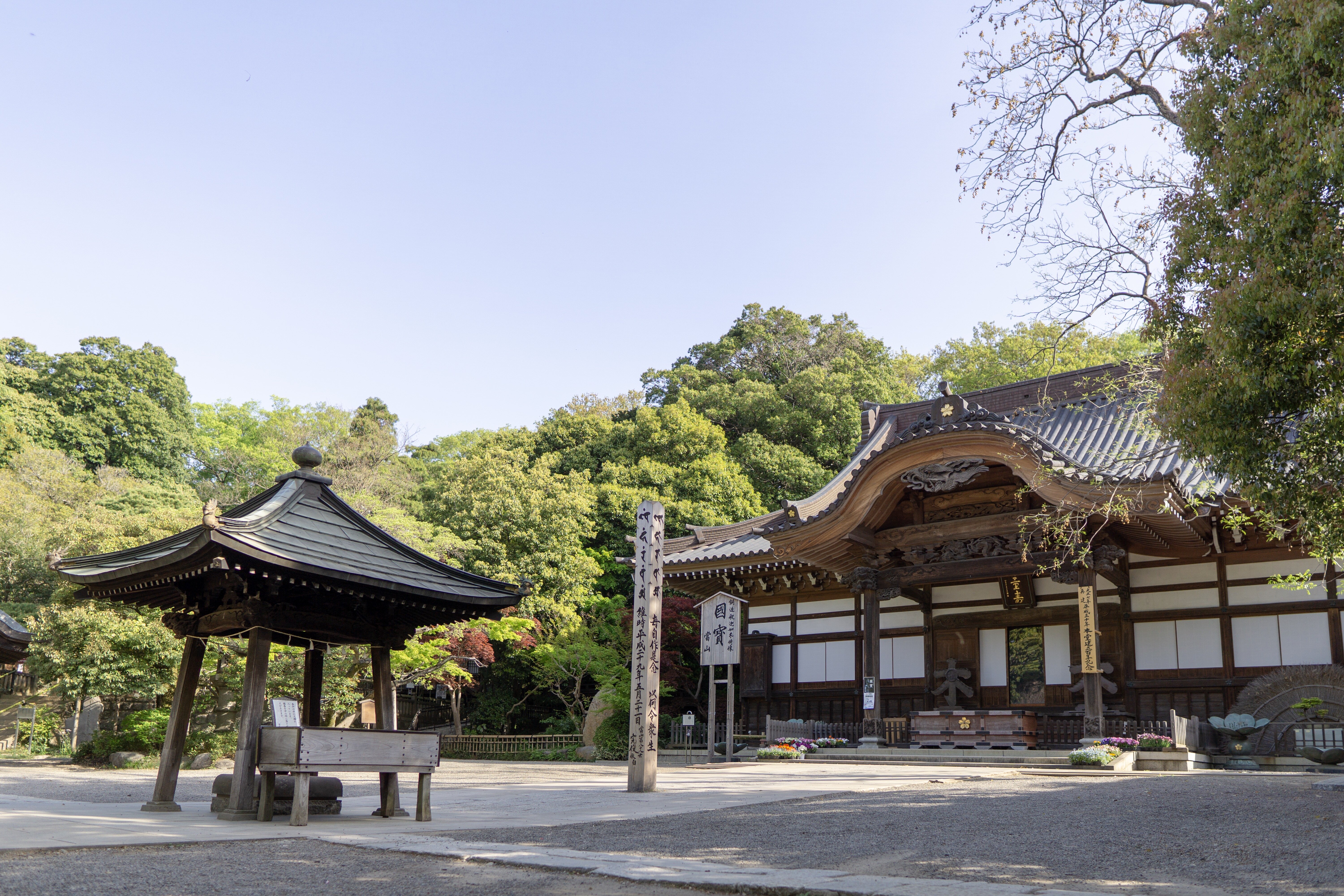 本堂夏.jpg