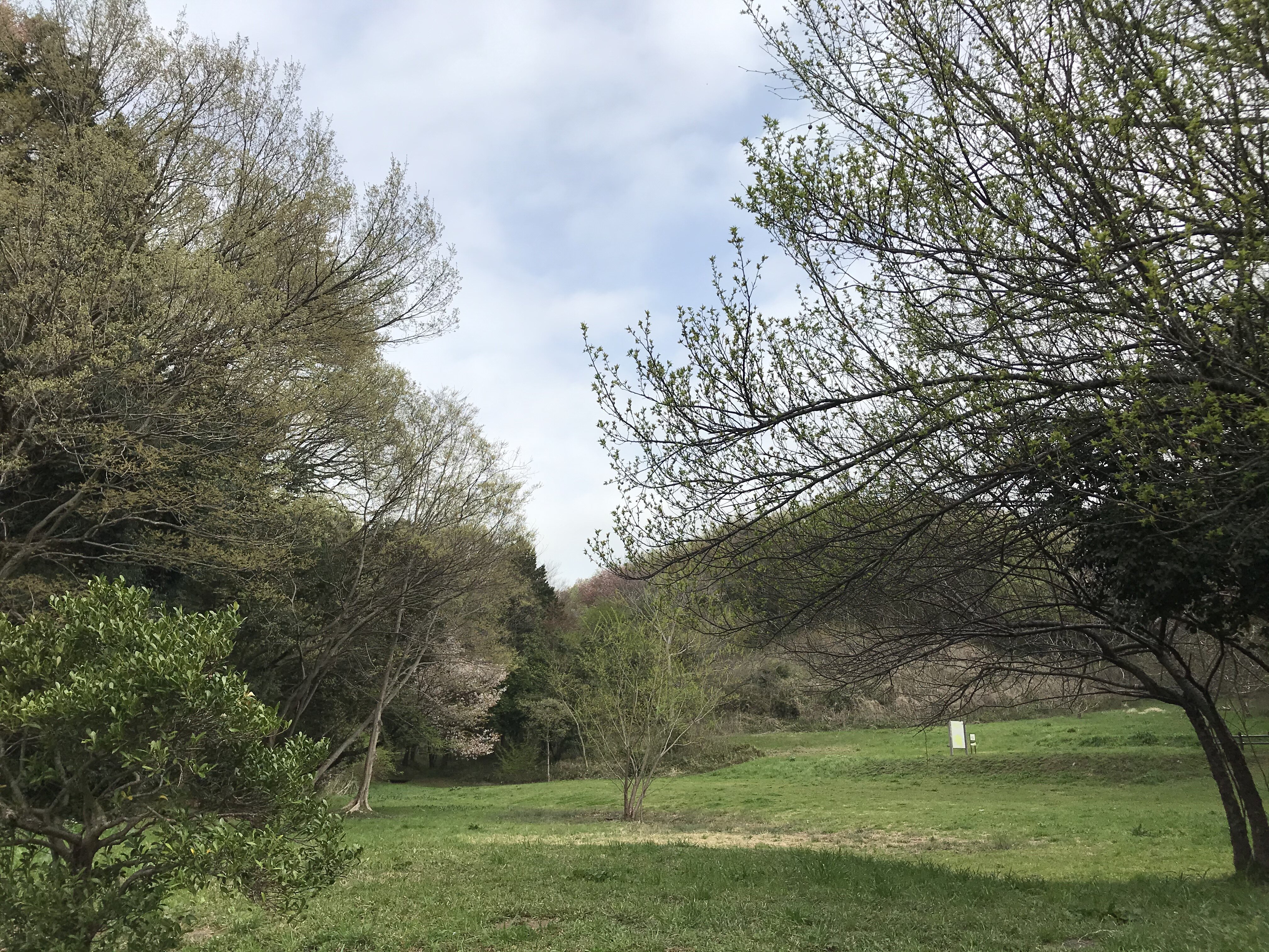 野山北・六道山公園.JPG