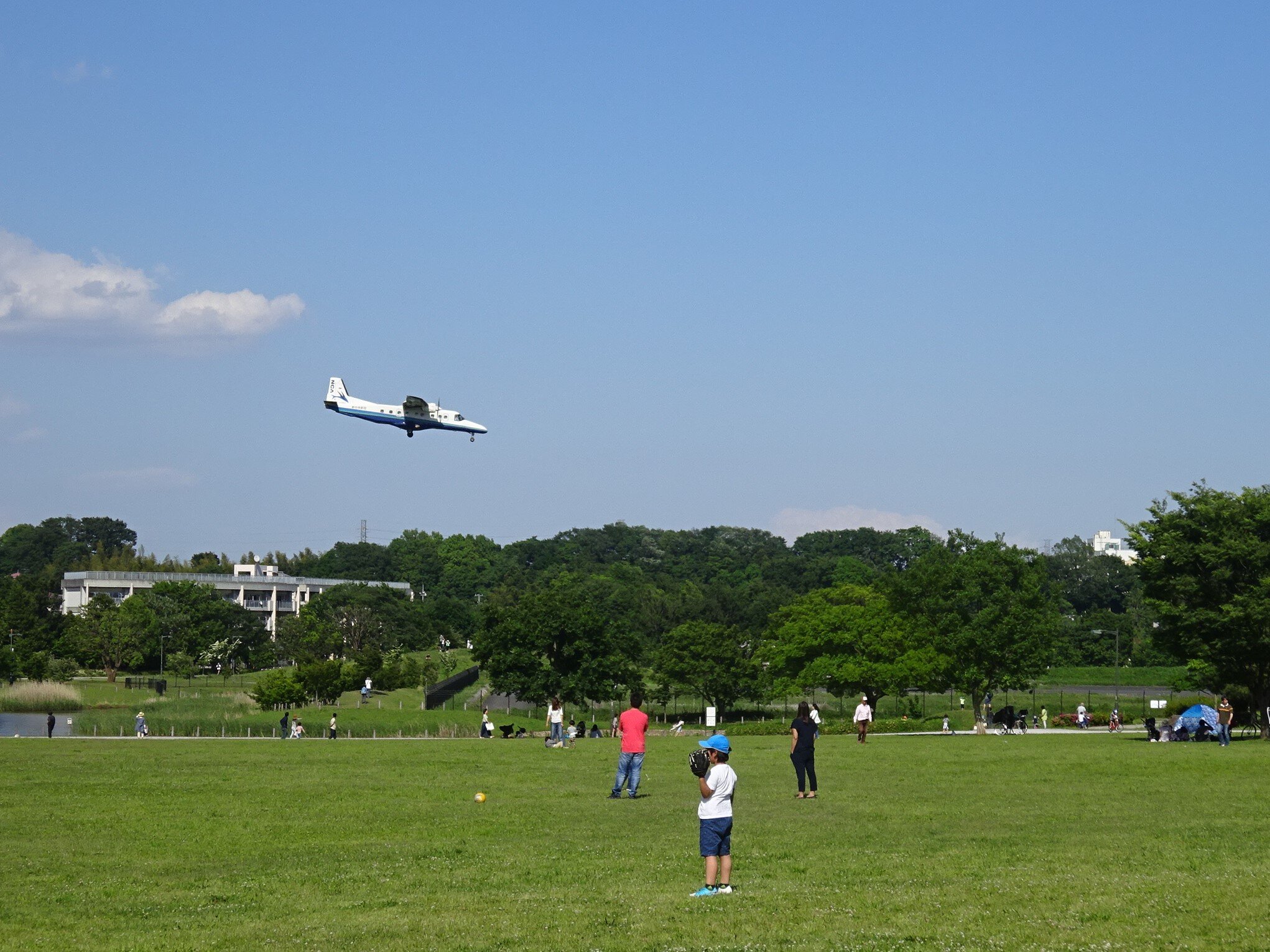 武蔵野の森公園2.jpg