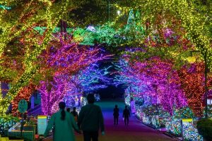 かぞくをはぐくむヒントがつまったパパママ・マガジン たまちっぷす | 眺めているだけでワクワク！多摩地域のイルミネーション特集2021