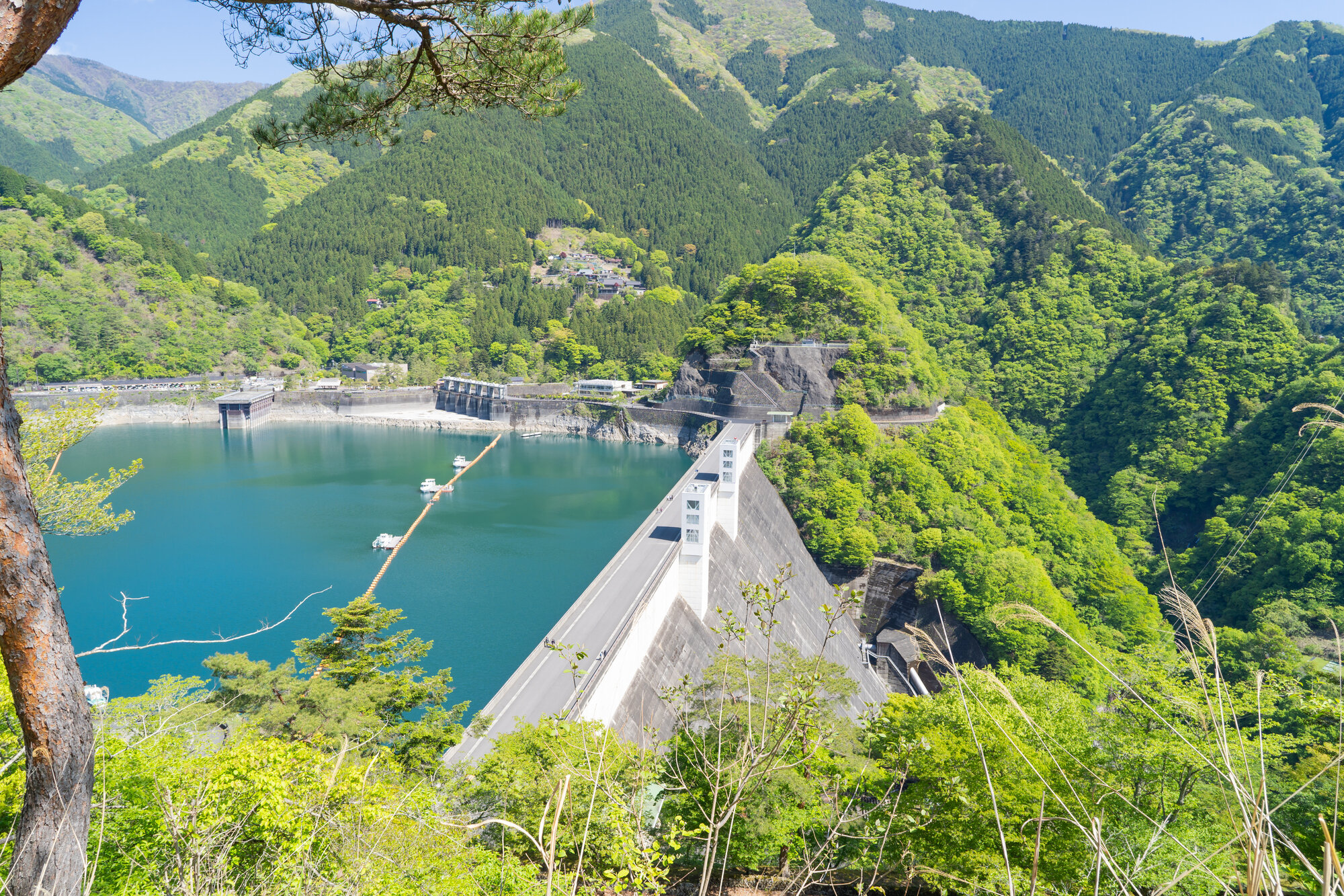 tama-area-aruaru-08.jpg