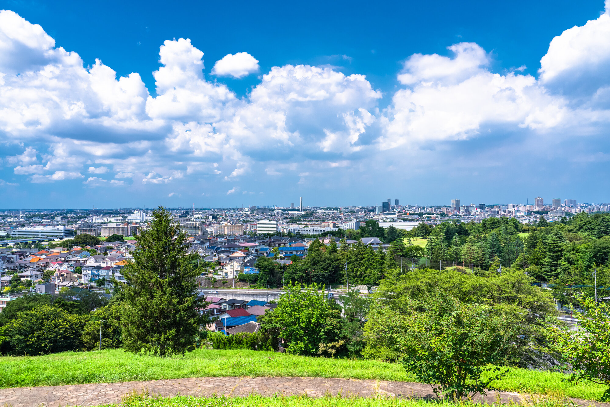 tama-area-aruaru3-02.jpg