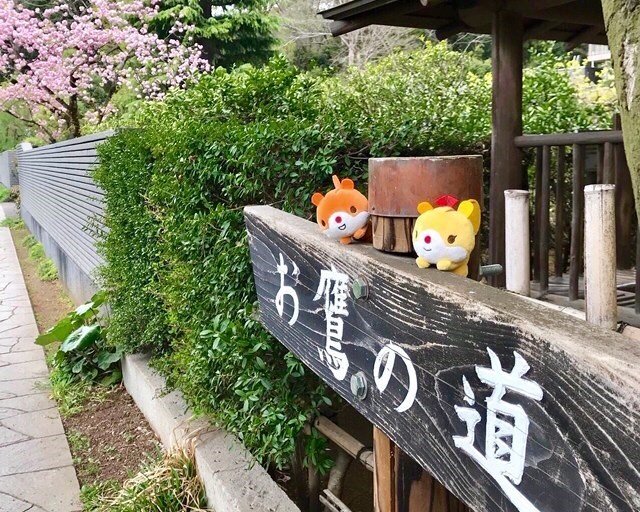 tama-aruaru-kita-kokubunji-3+.jpg
