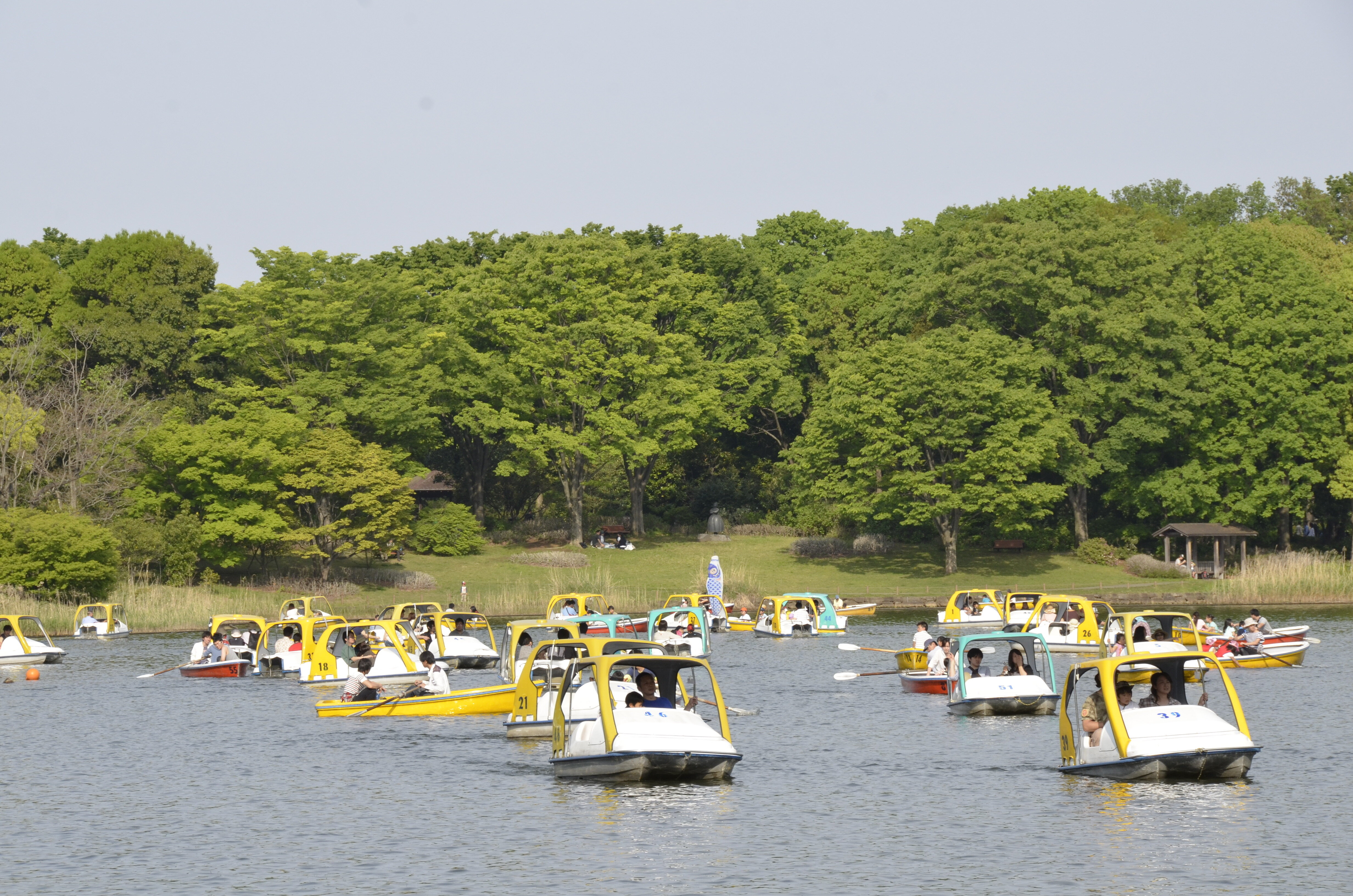 tama-bizyutsu-10b.jpg
