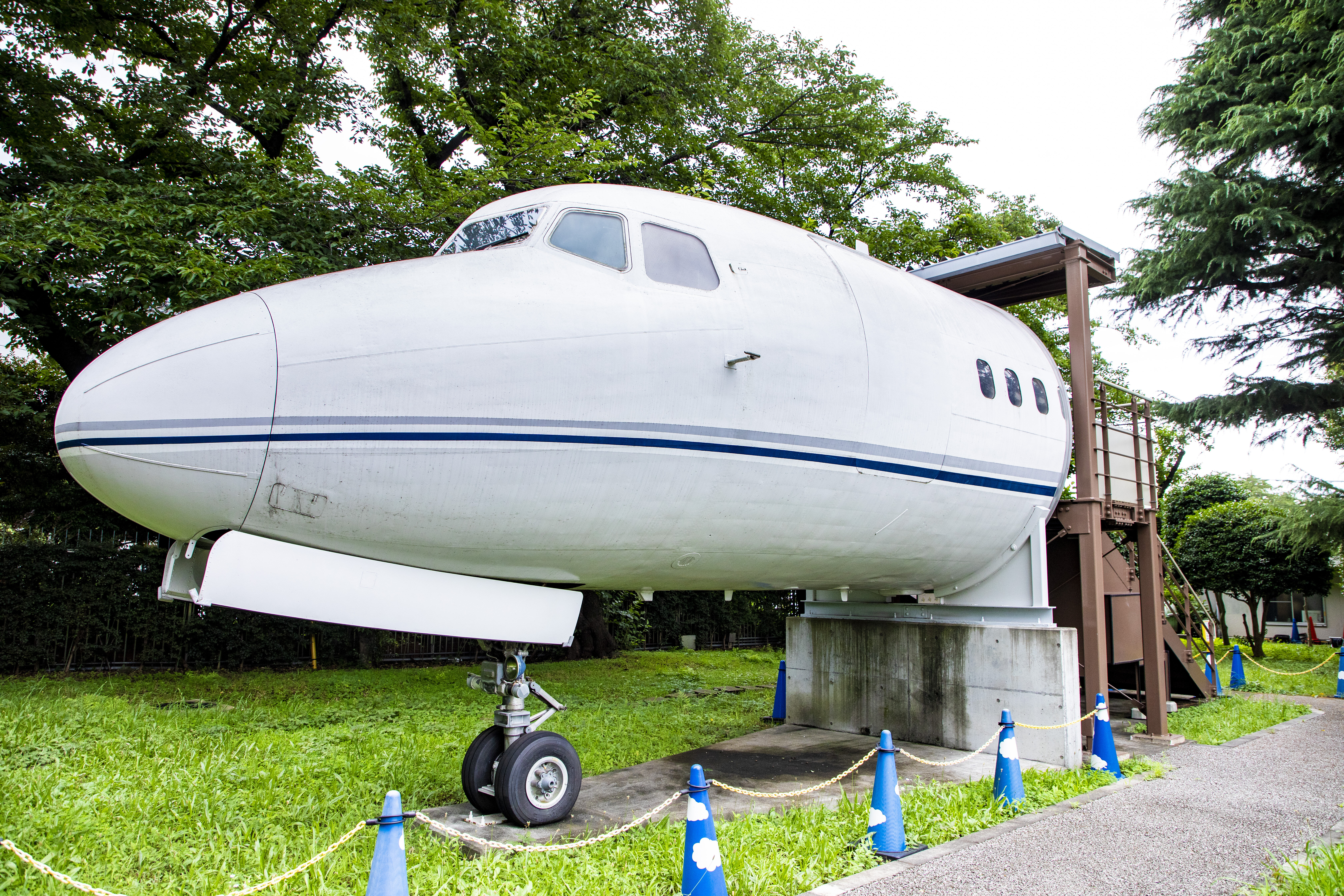 tama-chohu-03.jpg