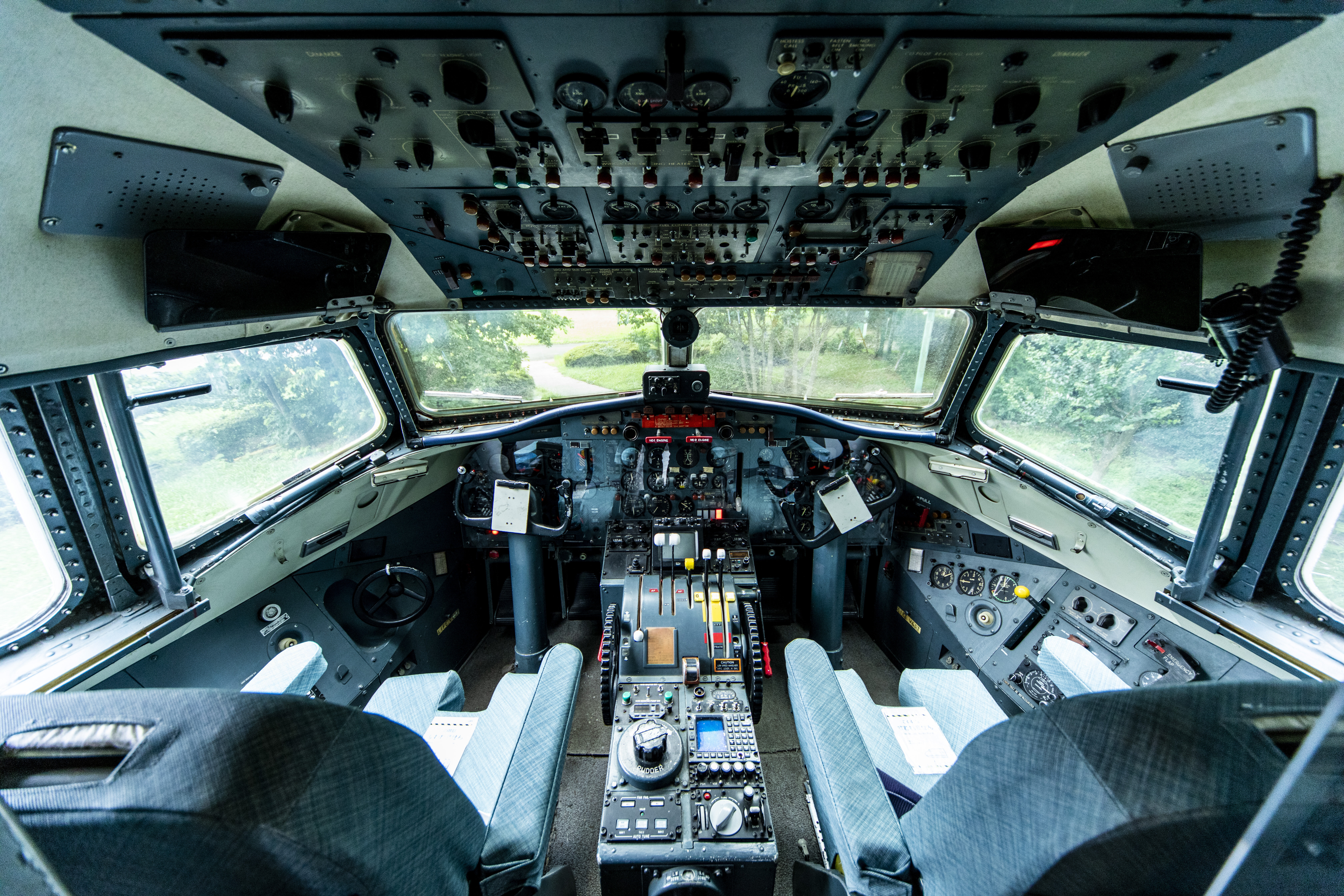 tama-chohu-04.jpg