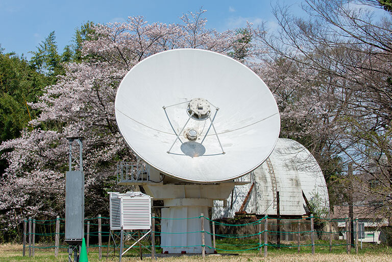 tama-chohu-14.jpeg