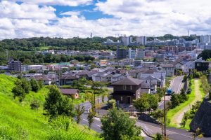 かぞくをはぐくむヒントがつまったパパママ・マガジン たまちっぷす | 実は今、注目の移住先!?多摩地域が選ばれるワケ