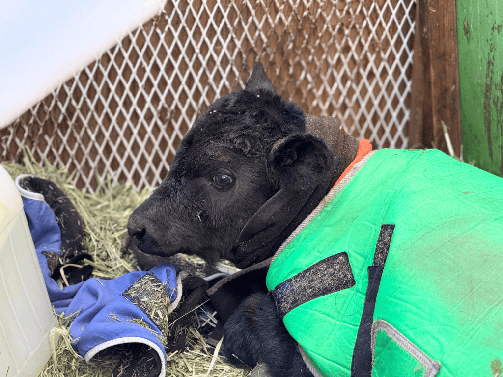 tama-experience-milk-10.png