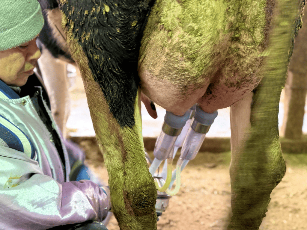tama-experience-milk-2.png