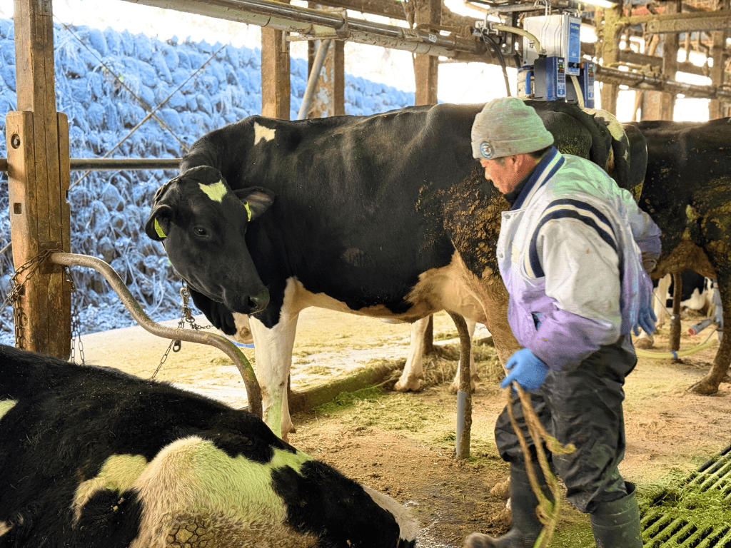 tama-experience-milk-3.png