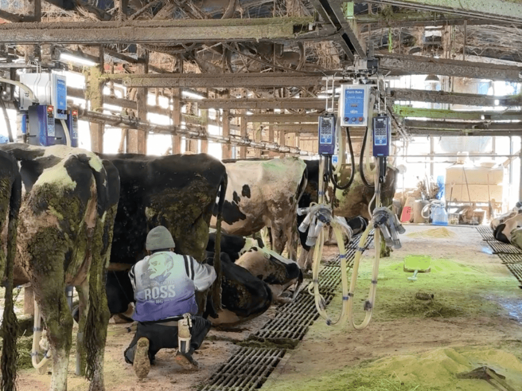 tama-experience-milk-5.png