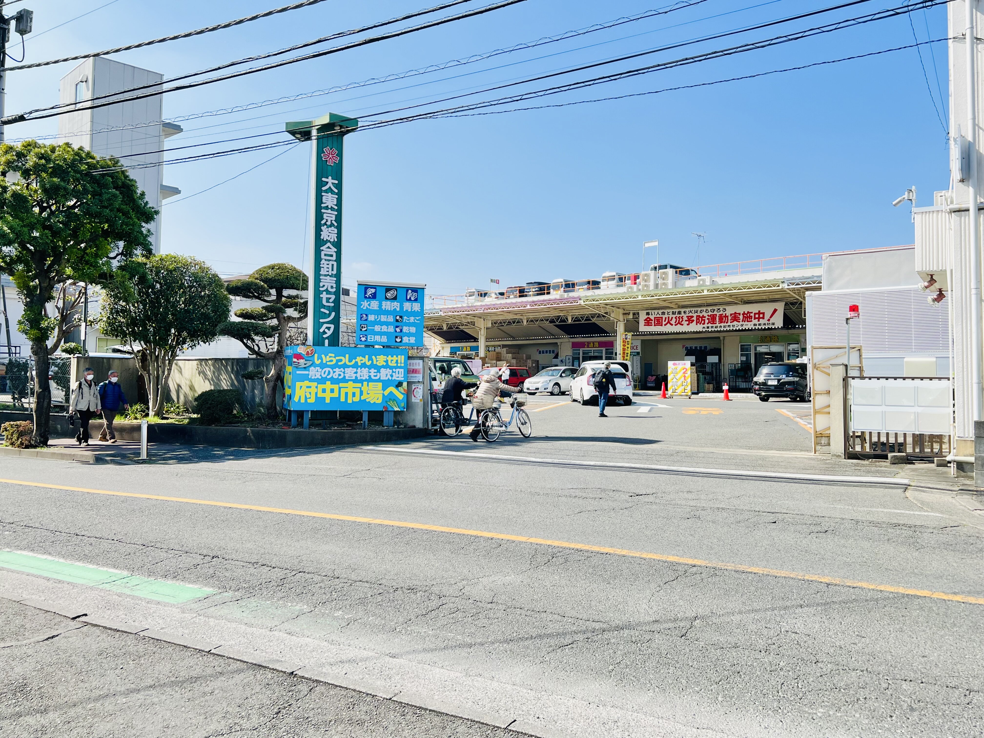 tama-fuchushi-1.jpg