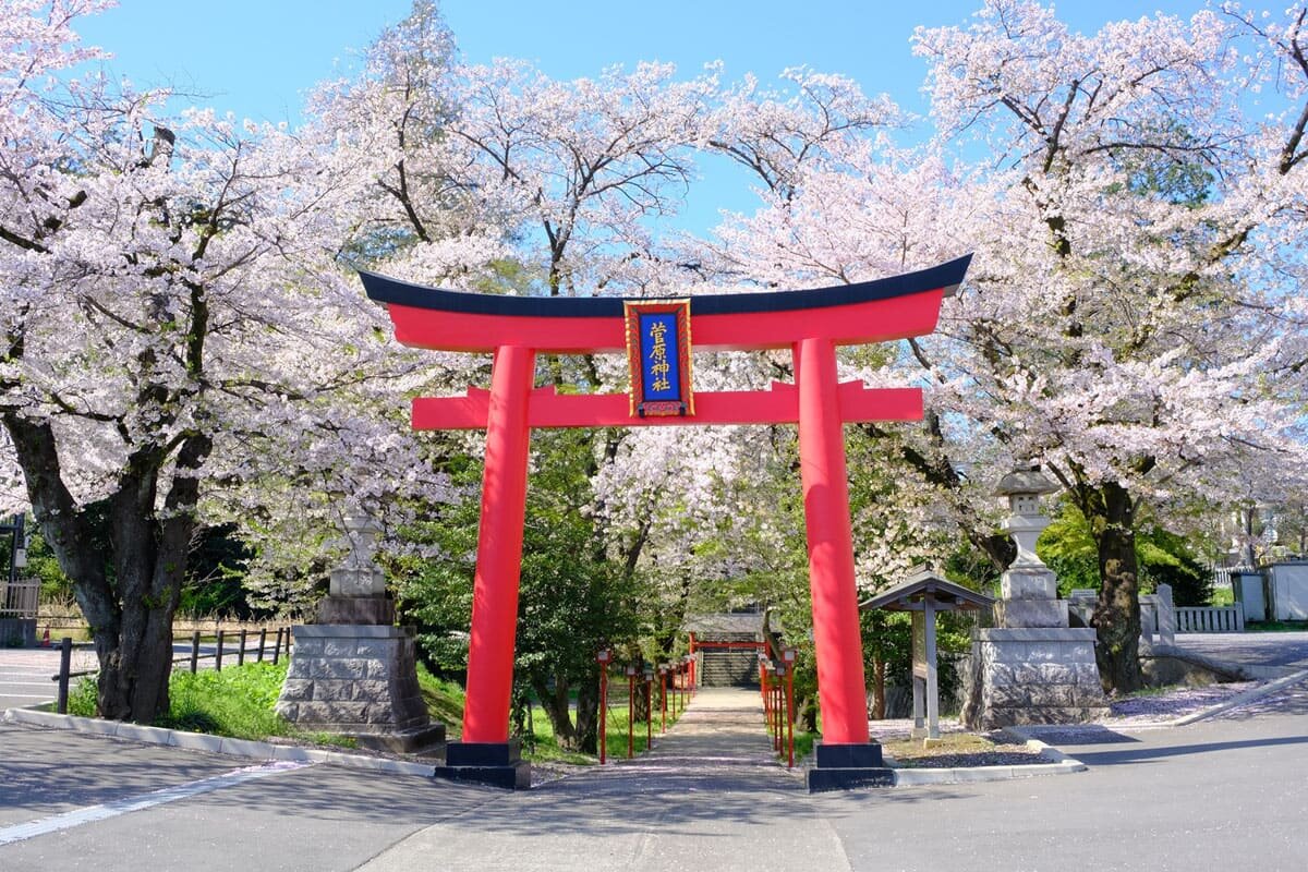 tama-goukakukigan-5.jpg