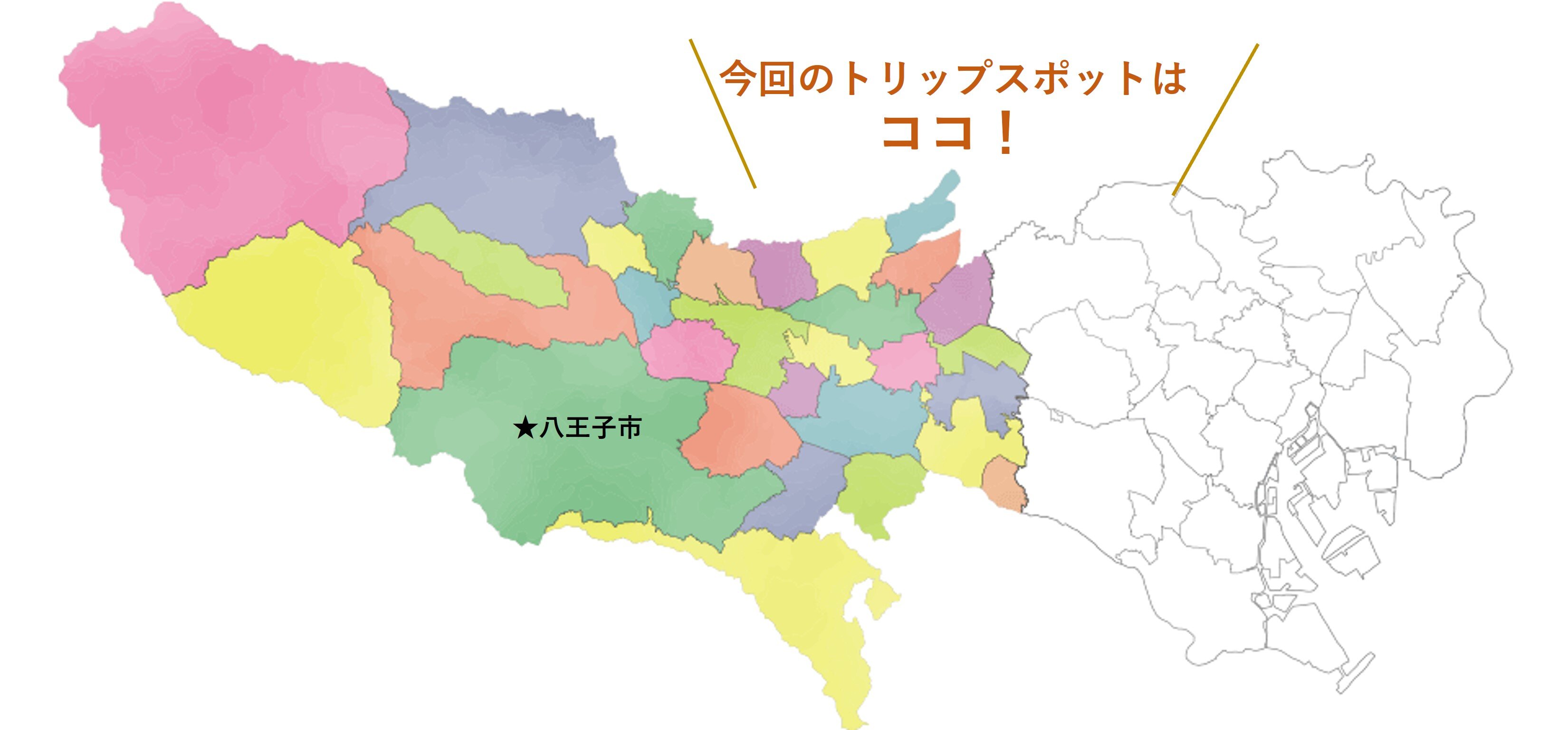 tama-hachioji-0.jpg