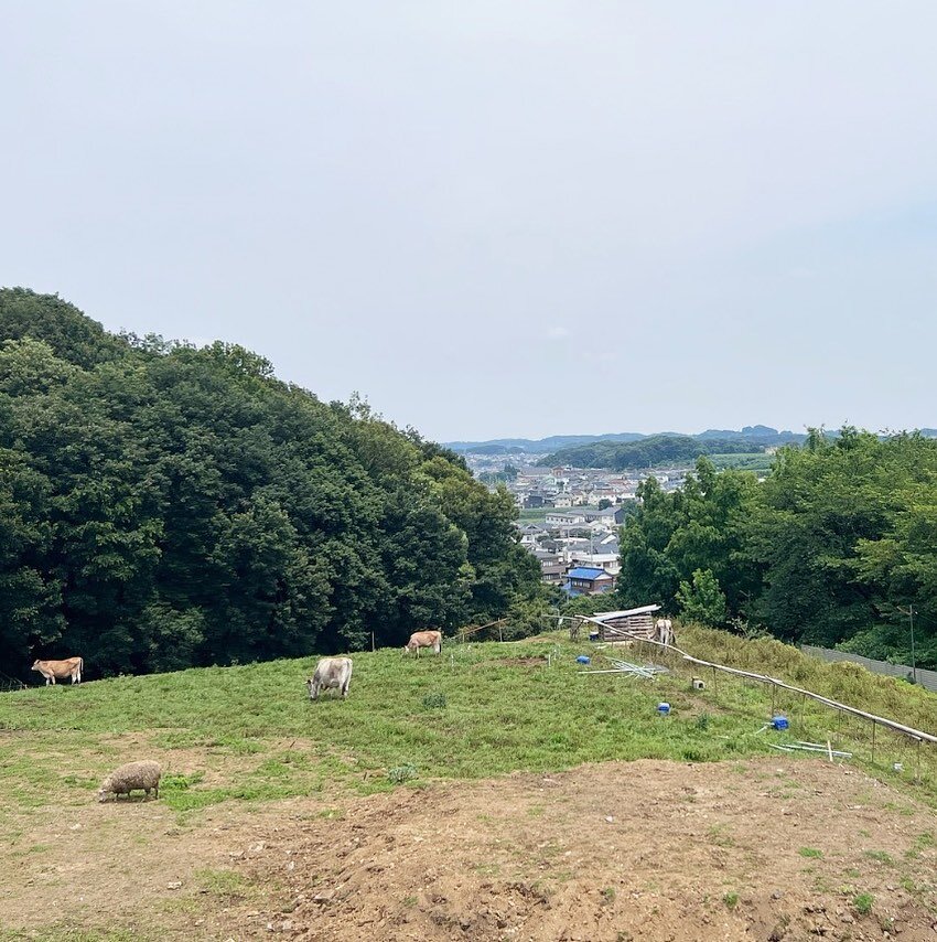 tama-hachioji-isonuma-01.jpg
