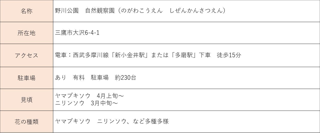 tama-hanami-nogawakoen.jpg.JPG
