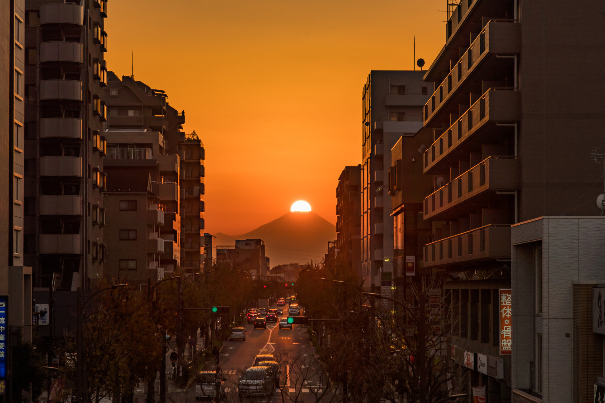 tama-higashikurume9.jpg