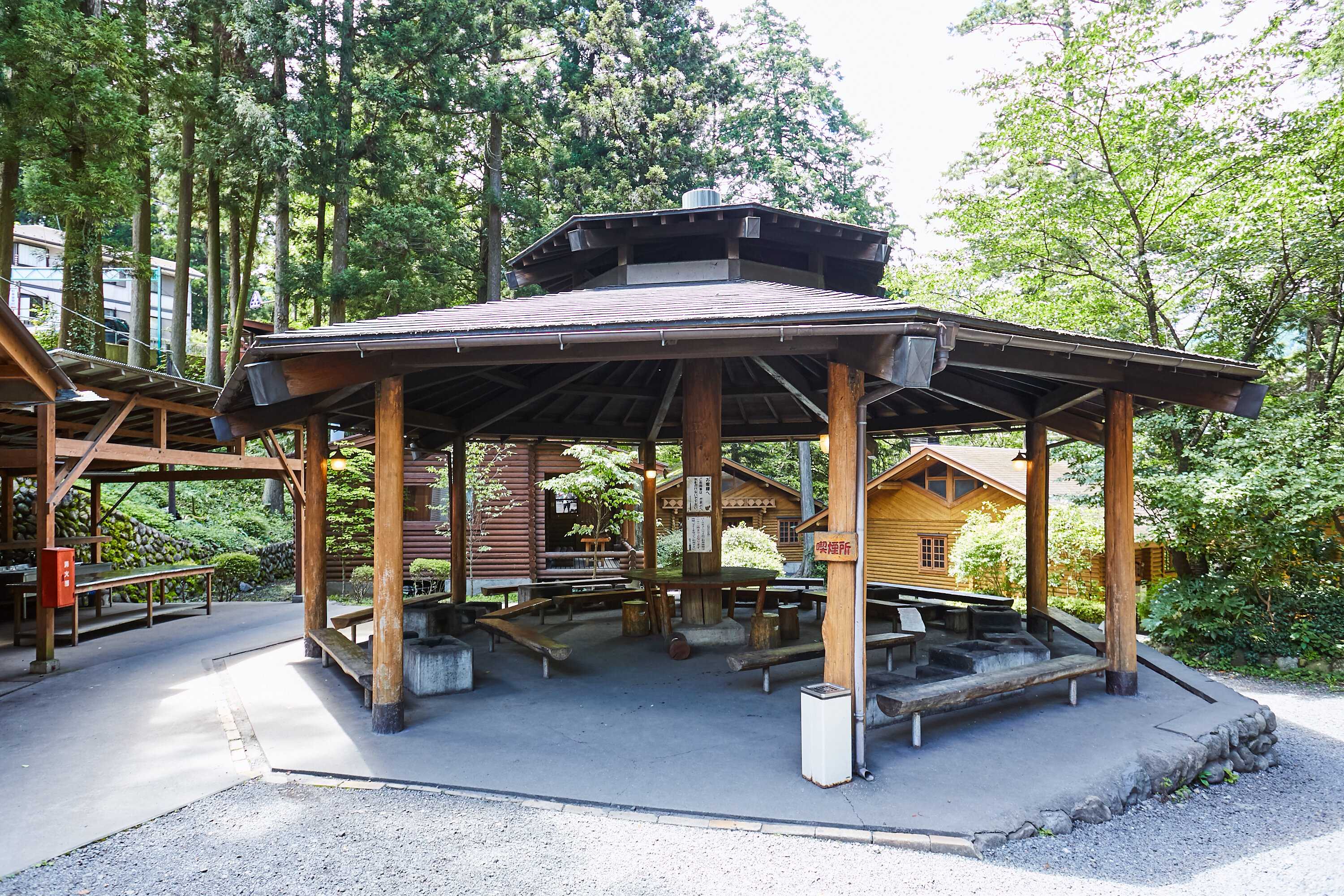 tama-hikawa-2.jpg