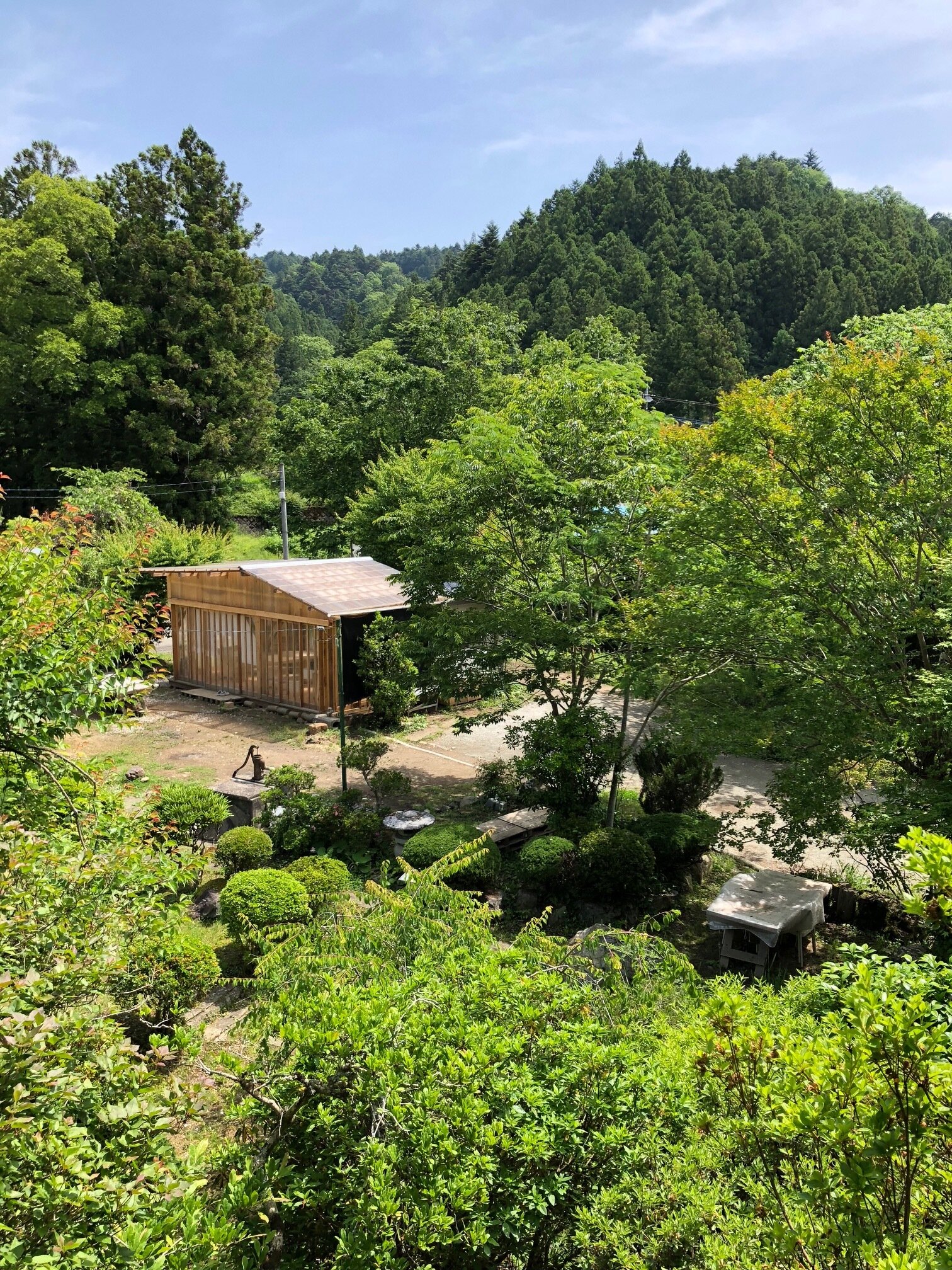 tama-hinode-08.jpg