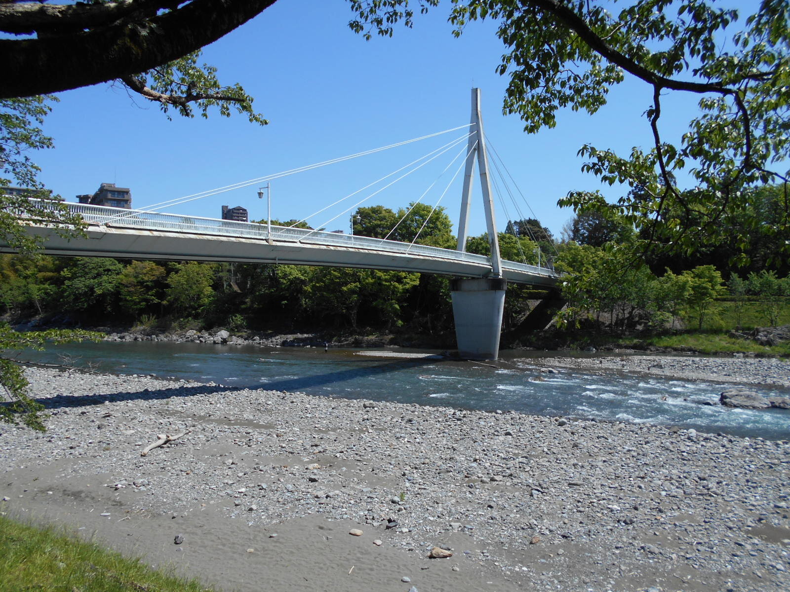 tama-kamanofuchipark-02.JPG