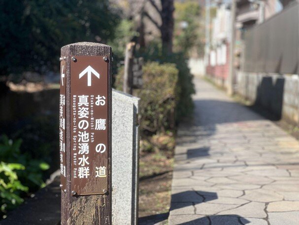 tama-kensakuchan-chachabiyori-9.jpg