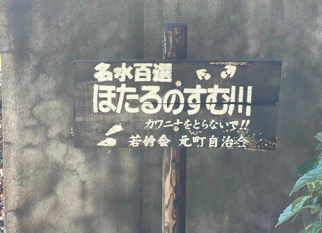 tama-kensakuchan-takeout-chachabiyori-9.png