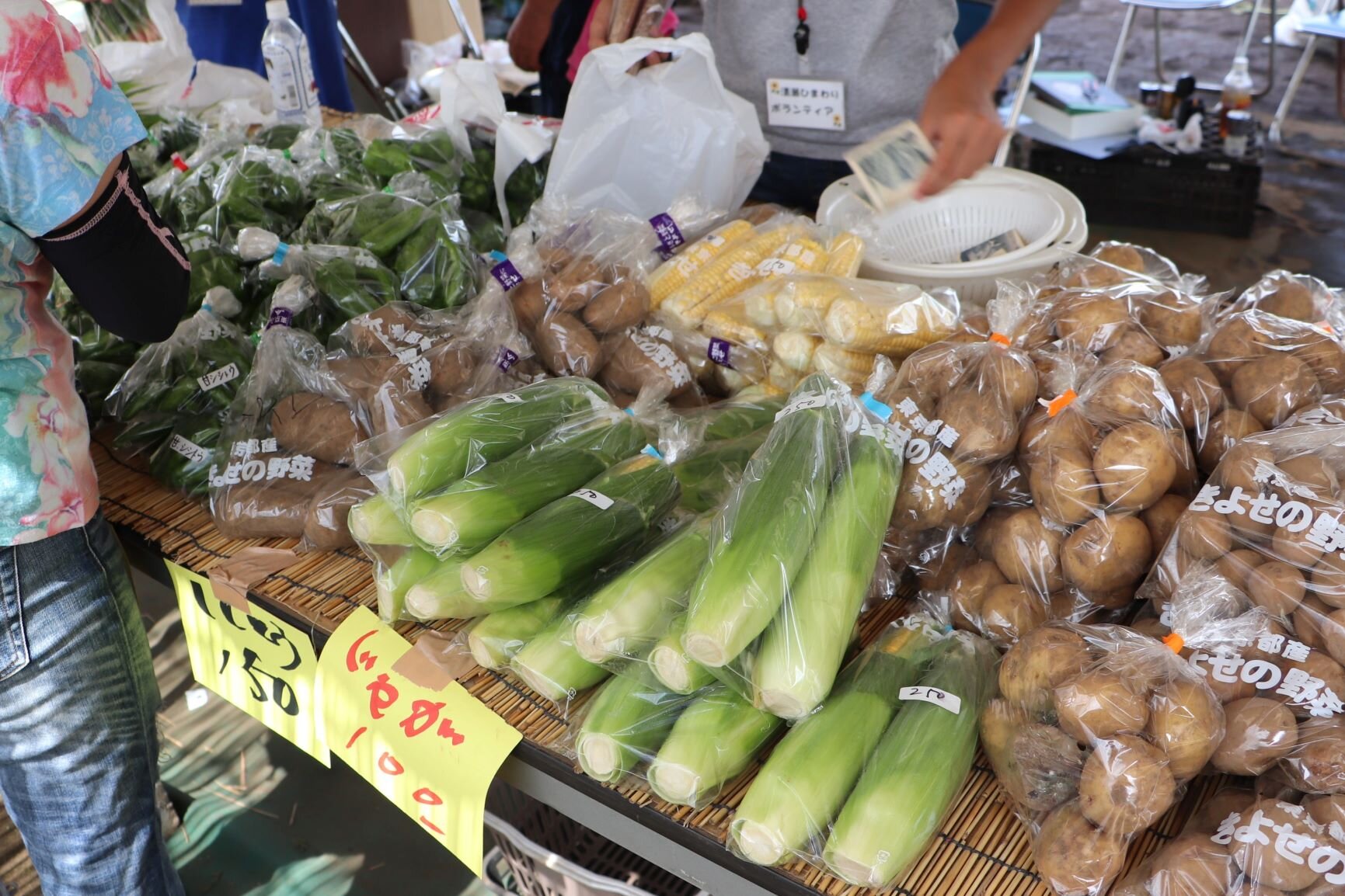 tama-kiyose-himawarifestival-04.JPG