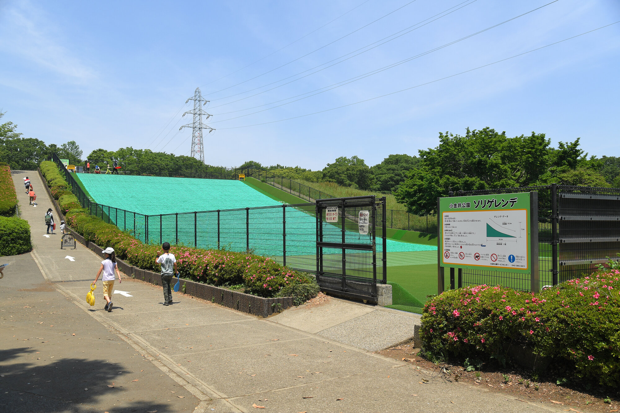 tama-koganei-koganeikoen-02.jpg