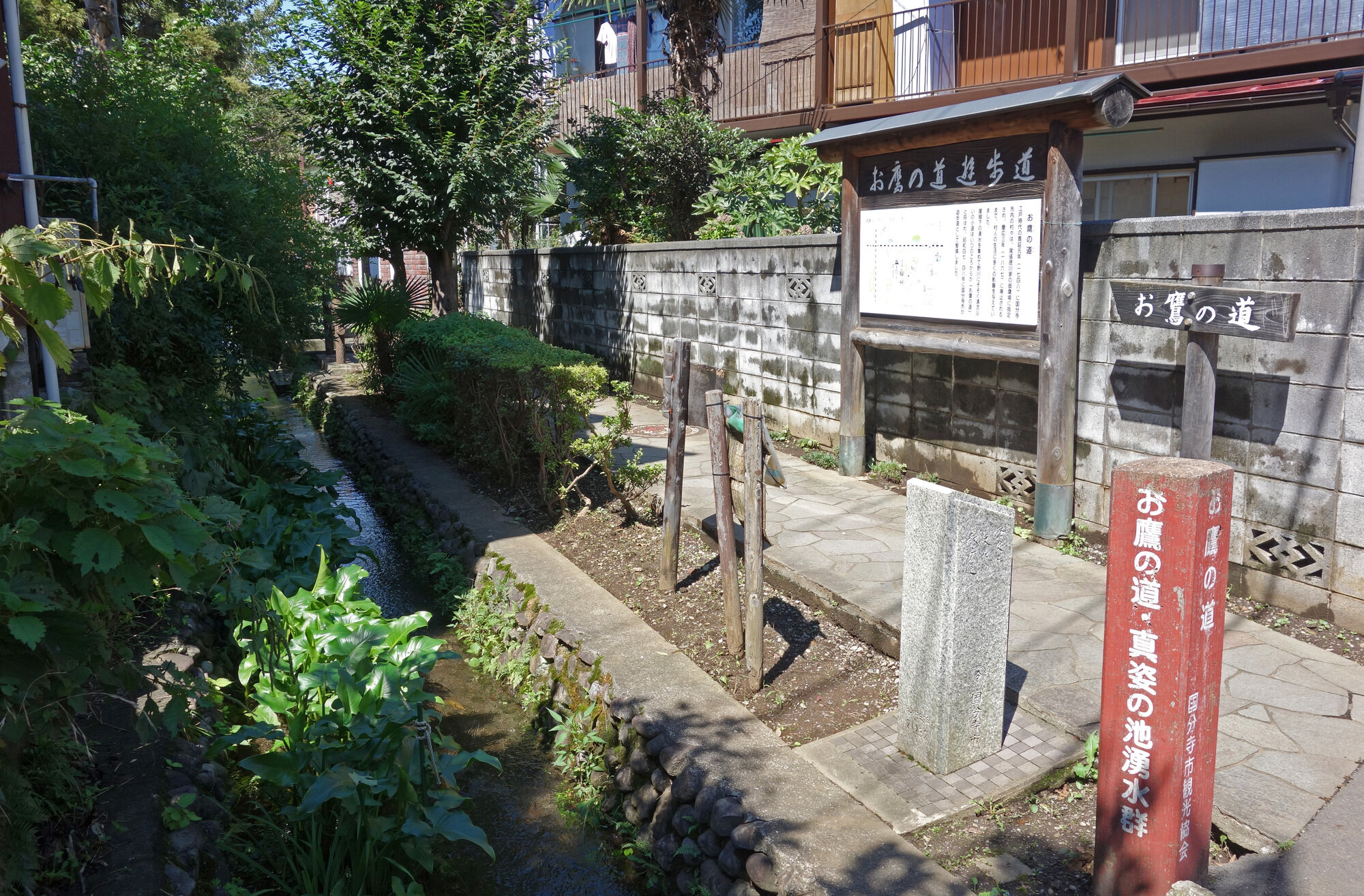 tama-kokubunji-4.jpg