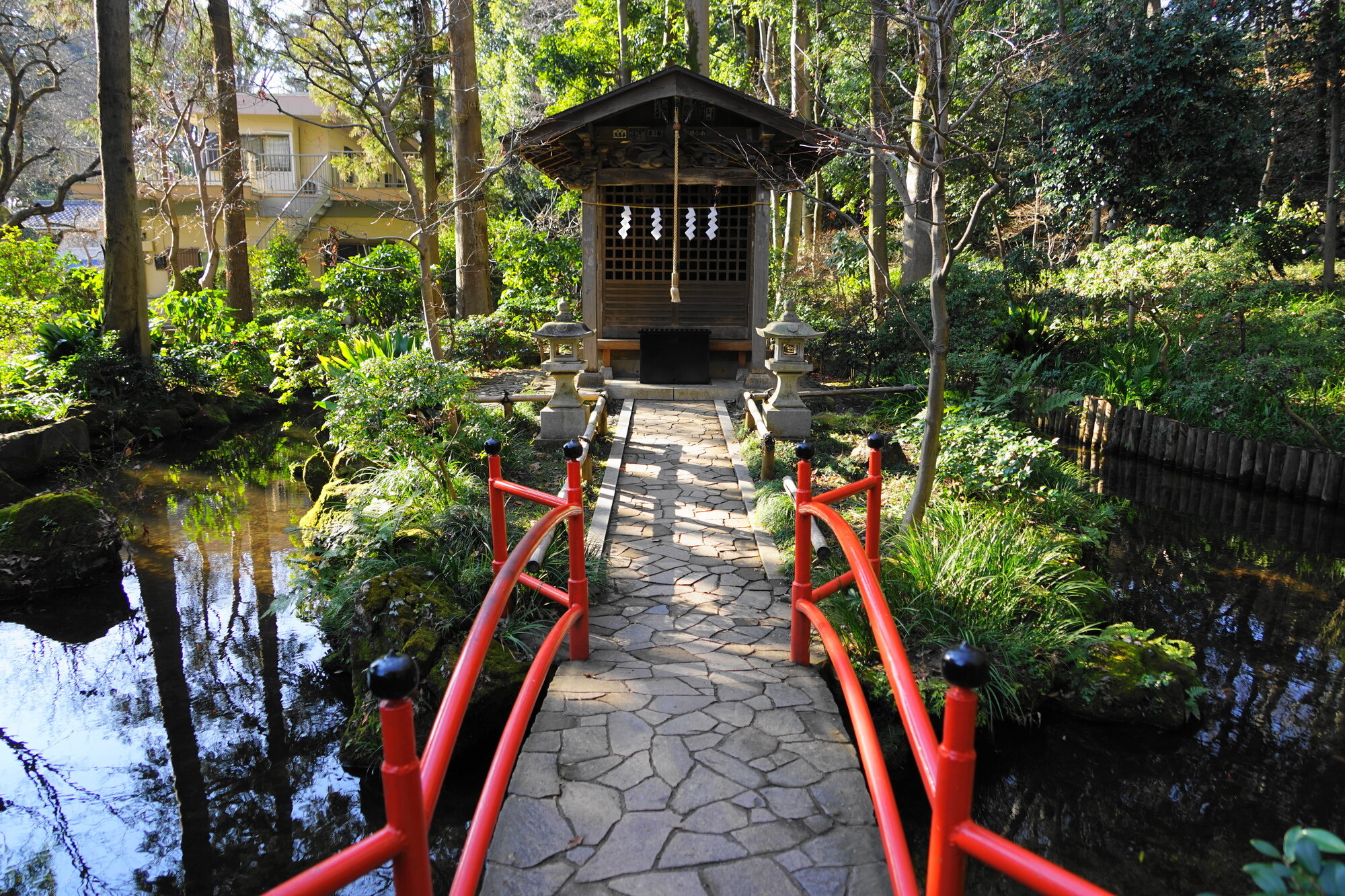 tama-kokubunji-5.jpg