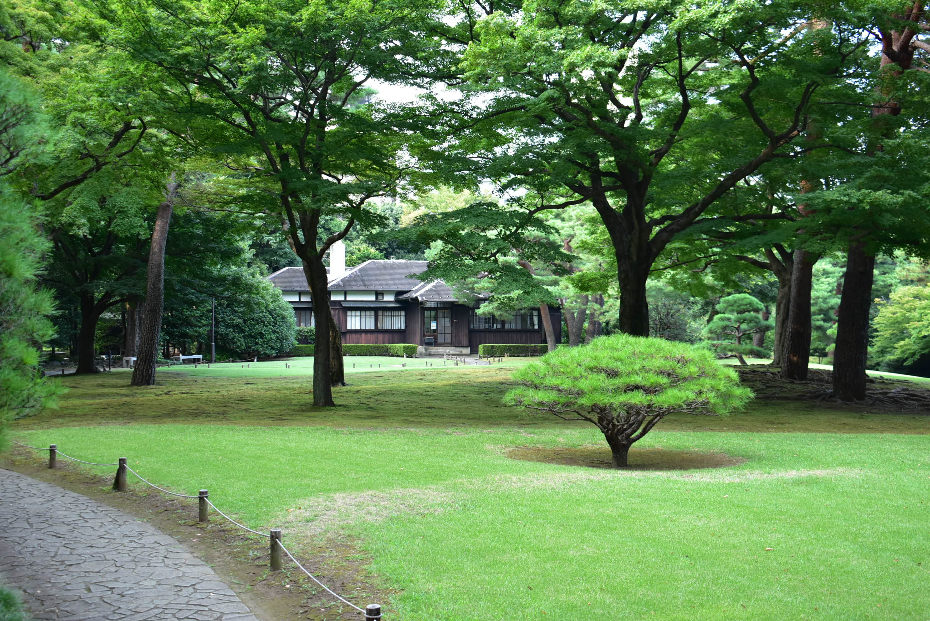tama-kokubunji-8.JPG