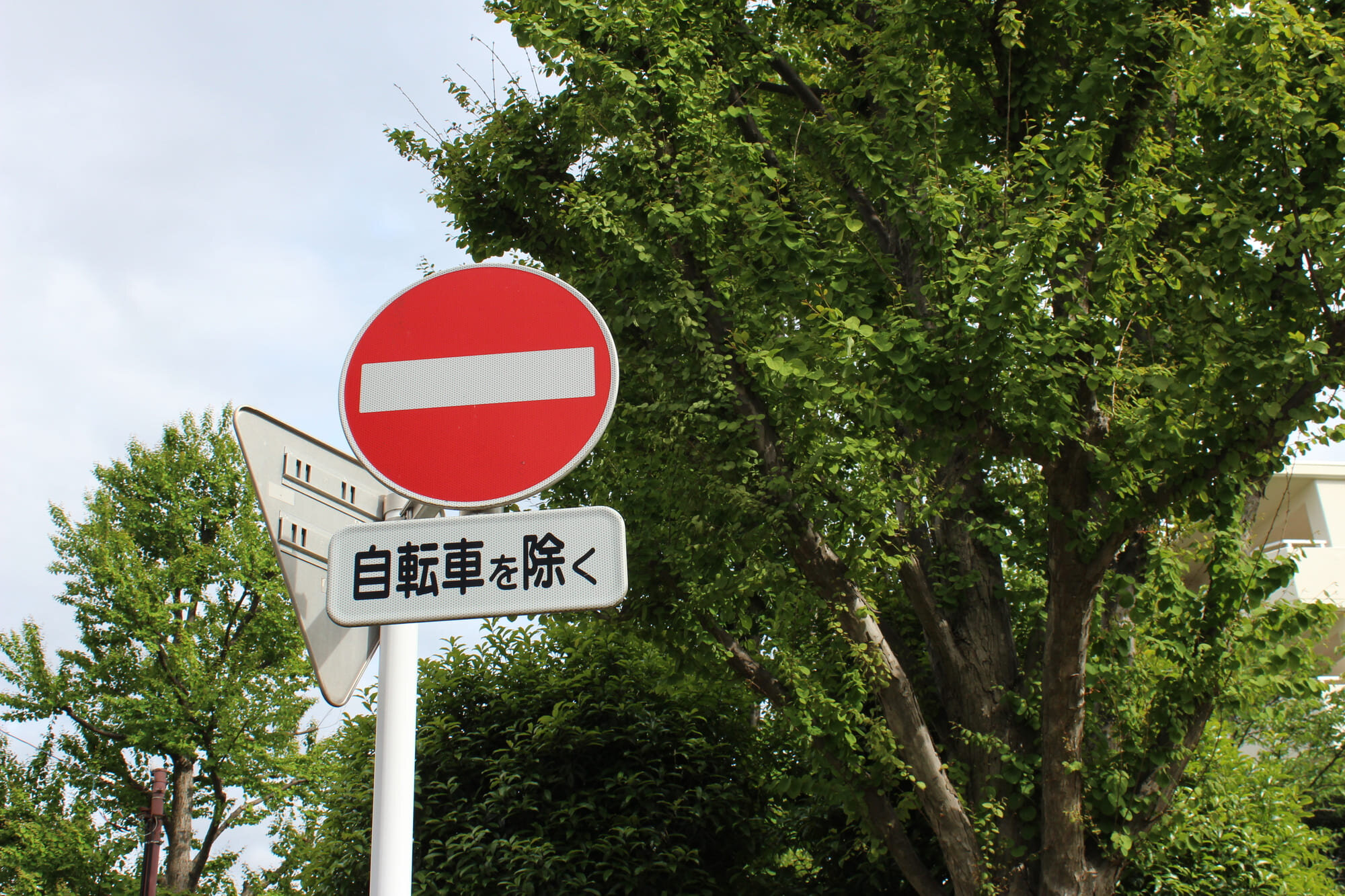 tama-kotsurule-22.jpg