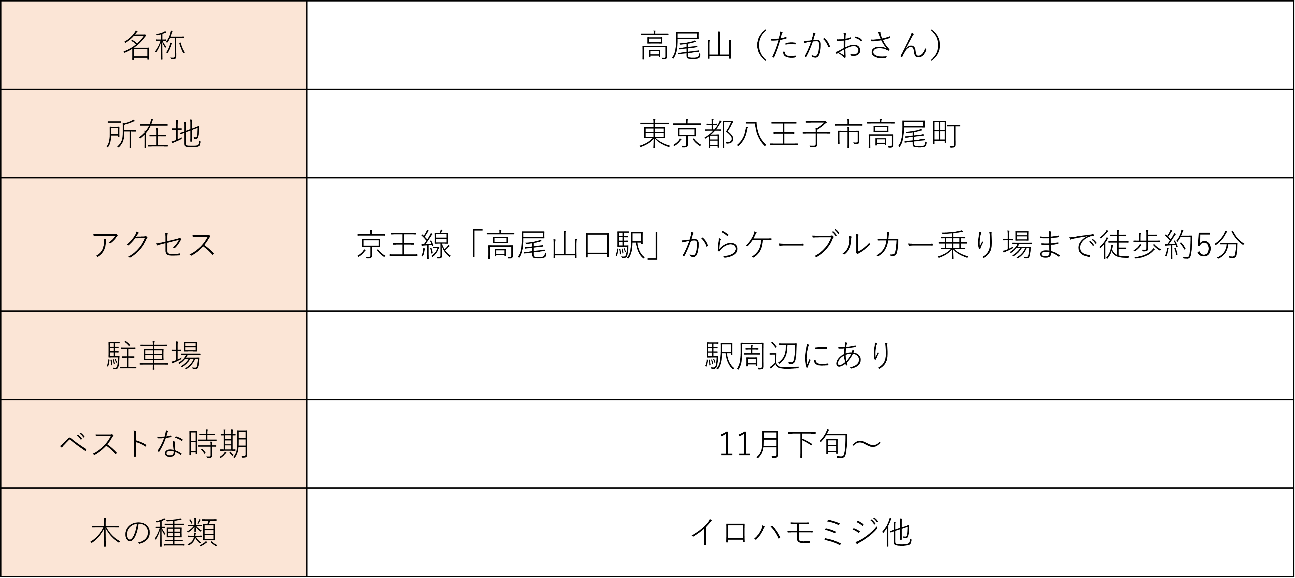 tama-kouyou-takaosan-2025.png