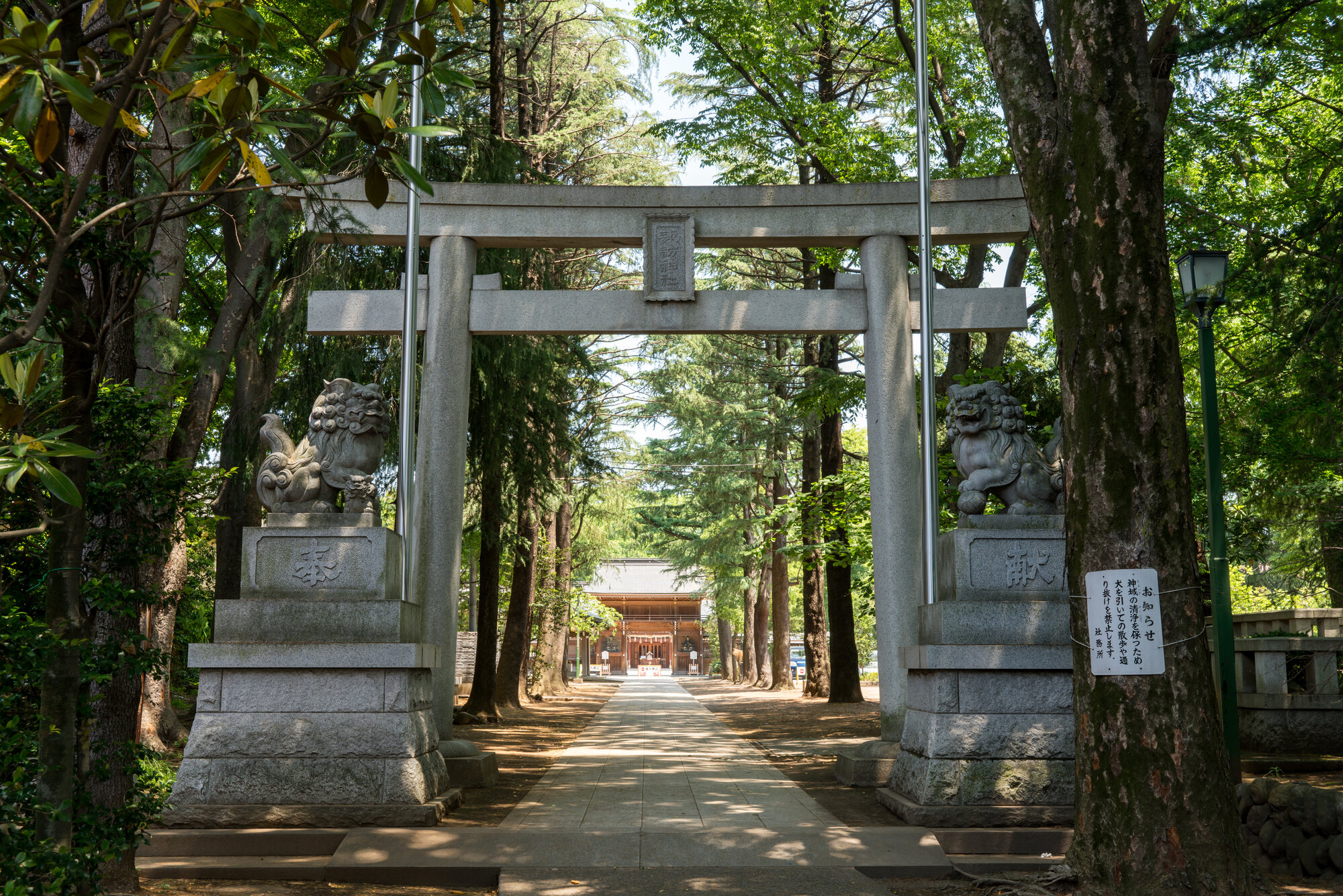 tama-kutsurogi05.jpg