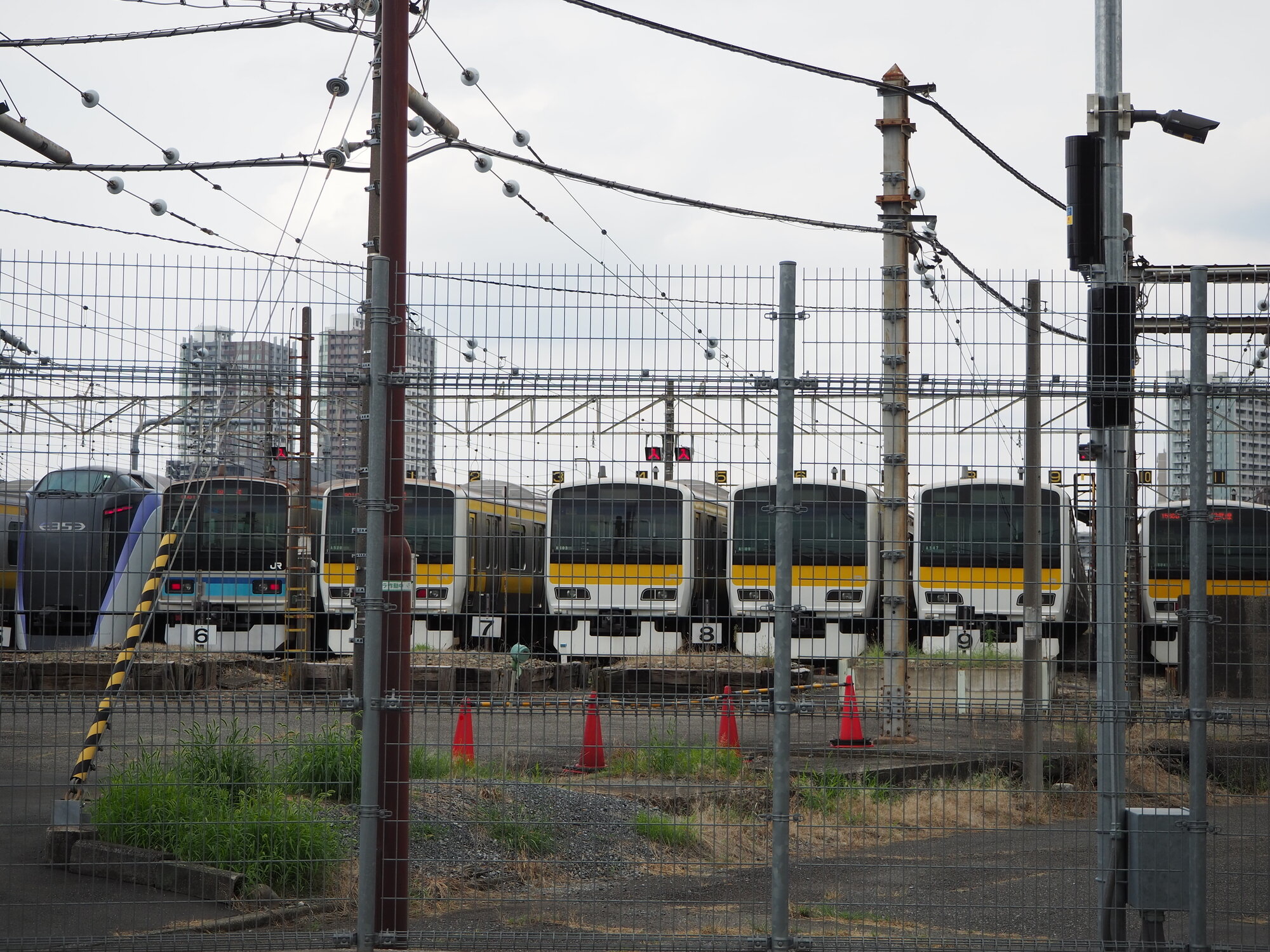 tama-mitaka-kosenzindokyo-01.jpg