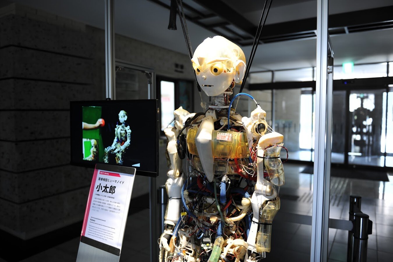 tama-museum-11.jpg