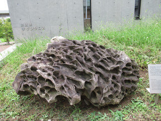 tama-museum-15.jpg