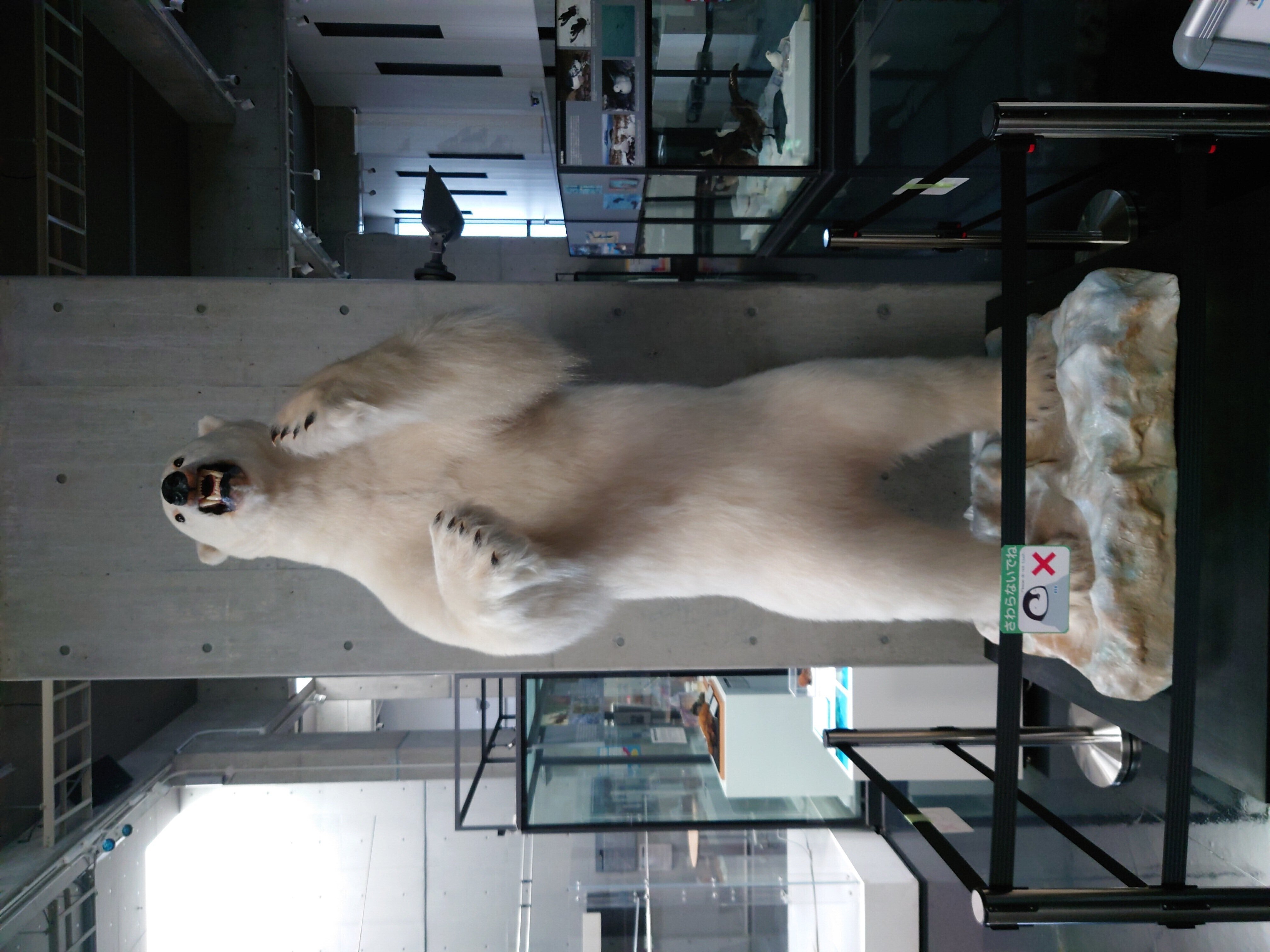 tama-museum-18.JPG